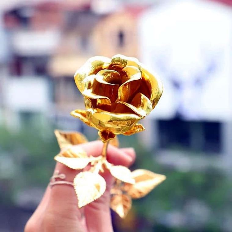 Hoa hồng vàng