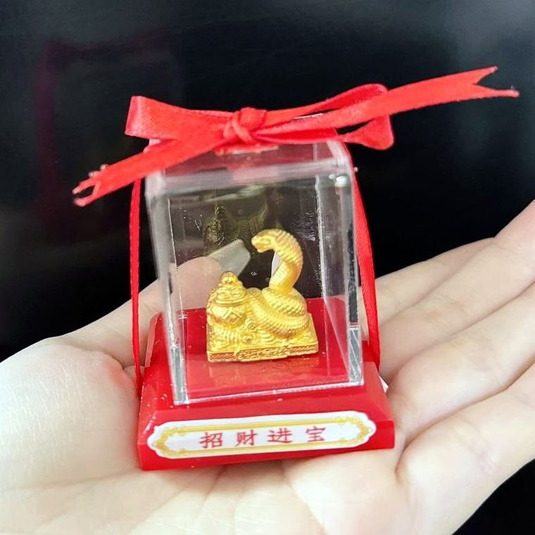 Rắn vàng cuộn tiền